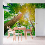 Tapeta Światło słoneczne przez liście: perspektywa lasu