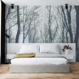 Tapeta z sylwetką nagiego drzewa Tapeta Zimowy Las