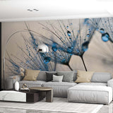 Close-Up Dandelion with Water Droplets Wall Mural Blue Floral Wallpaper