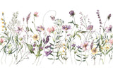 Watercolor Wildflower Wall Mural - Delicate Field Flowers in Bloom Wallpaper