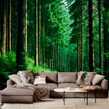 Tapeta Mistyczna leśna ścieżka: Zielone sanktuarium
