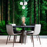 Tapeta Mistyczna leśna ścieżka: Zielone sanktuarium