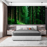 Tapeta Mistyczna leśna ścieżka: Zielone sanktuarium