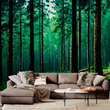 Mystyczny Las Sosnowy Tapeta