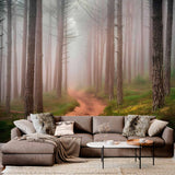 Serenowy Szlak Leśny Tapeta