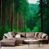 Tapeta Lush Forest Serenity