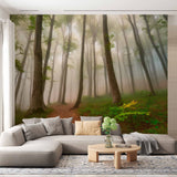 Spokojne mgliste drzewa tapeta