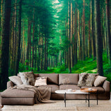 Tapeta Szlaku Leśnego w Spokoju