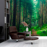 Tapeta Szlaku Leśnego w Spokoju