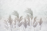 A minimalist wallpaper featuring a row of pampas grass in soft gray and white tones against a textured background.