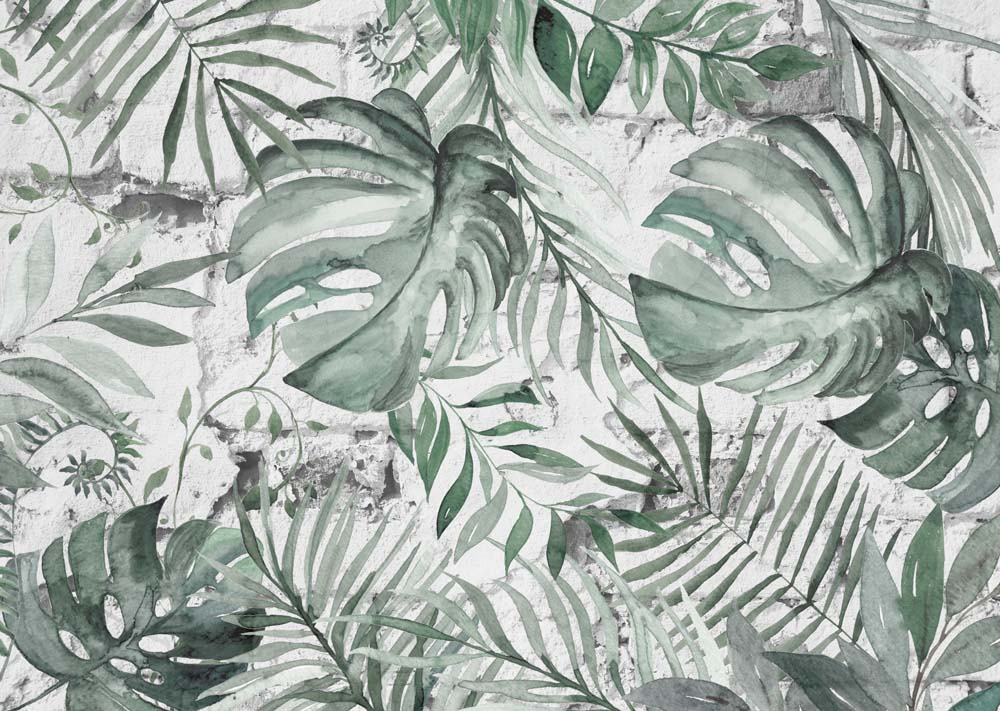 Fototapete Monstera-Blätter – Tropisches Aquarell in Sanftgrün
