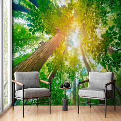 Custom Sunshine Through the Leaves Wallpaper: A Forest Perspective