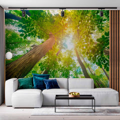 Custom Sunshine Through the Leaves Wallpaper: A Forest Perspective