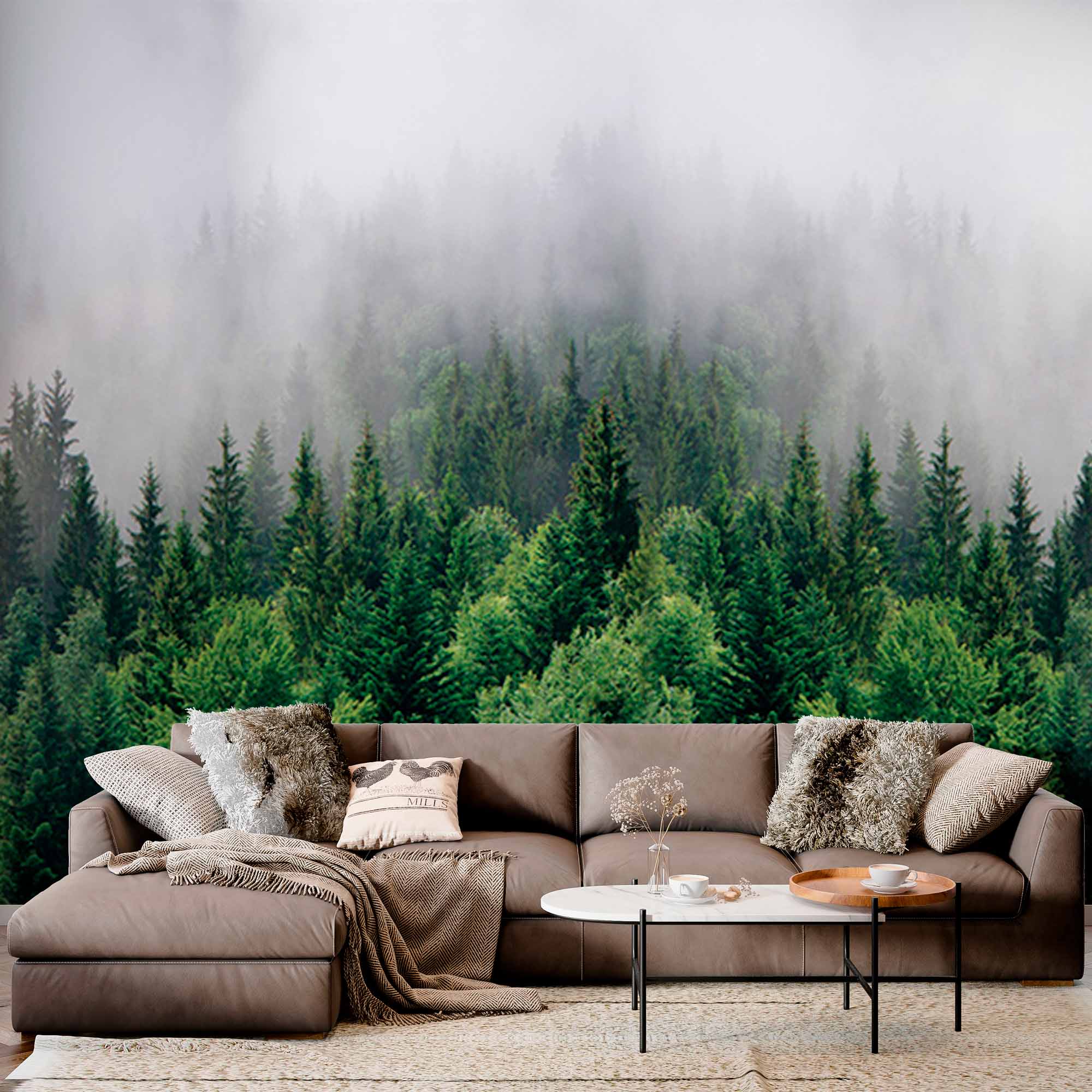 Foggy Evergreen Forest Wall Mural Treescape Wallpaper