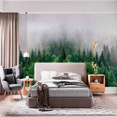 Custom Foggy Evergreen Forest Wall Mural Treescape Wallpaper