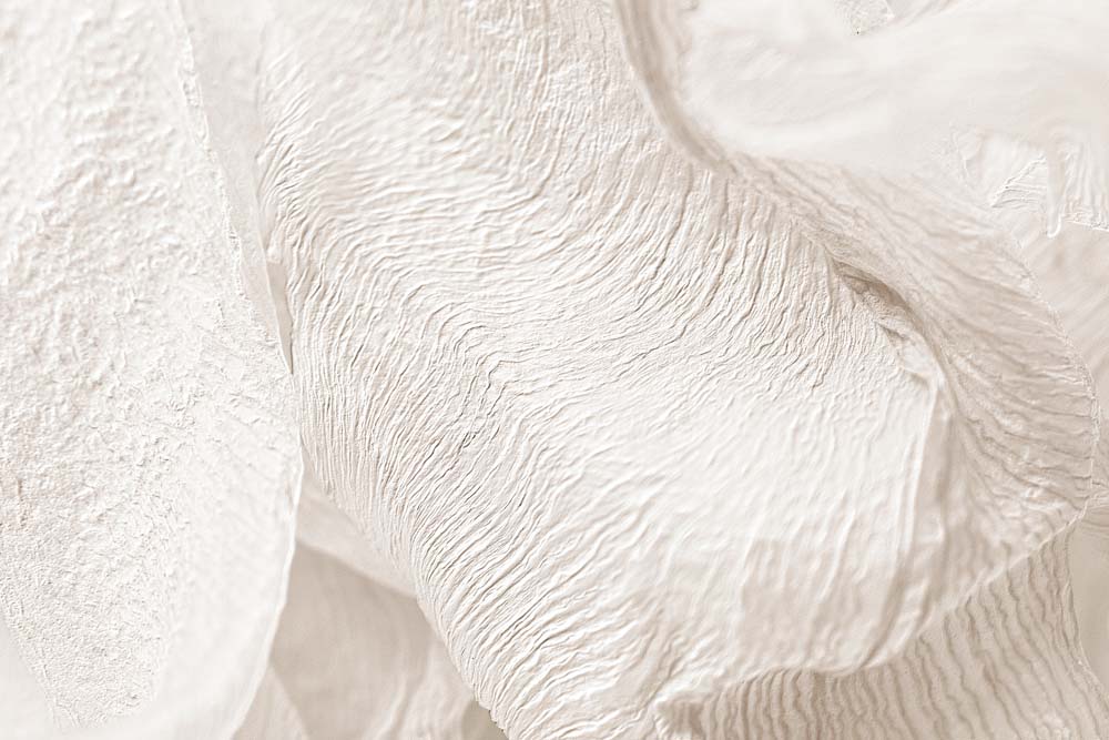 Papier peint texture feuille séchée – Papier peint panoramique beige neutre en relief organique
