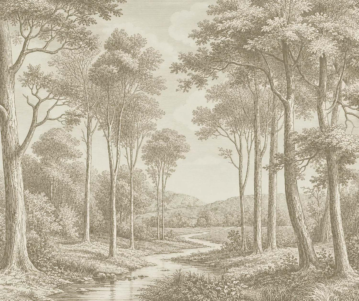 Papier peint gravure de forêt sépia – Panoramique grands arbres et ruisseau