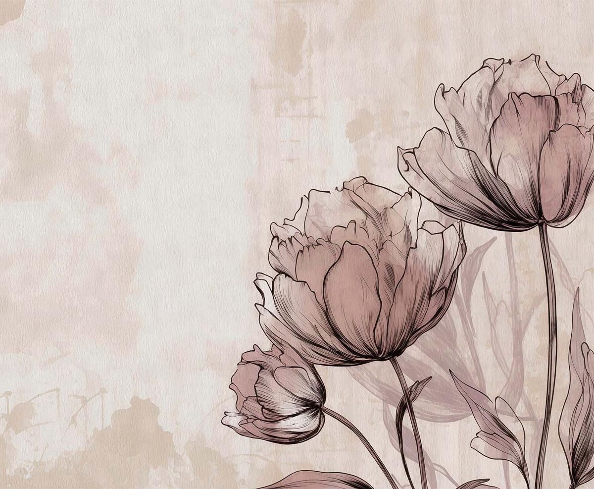 Tapete Malventulpen als Line Art – Transparente Blumen auf Blush-Putz