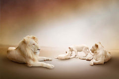 Custom White Lions Family Beige Undertones Wallpaper Animals Wall Mural