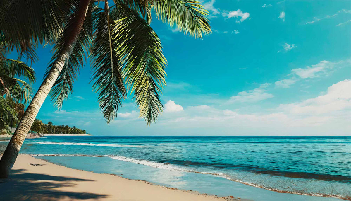 Papier peint plage de palmiers – Papier peint panoramique plage tropicale et feuilles de palmier