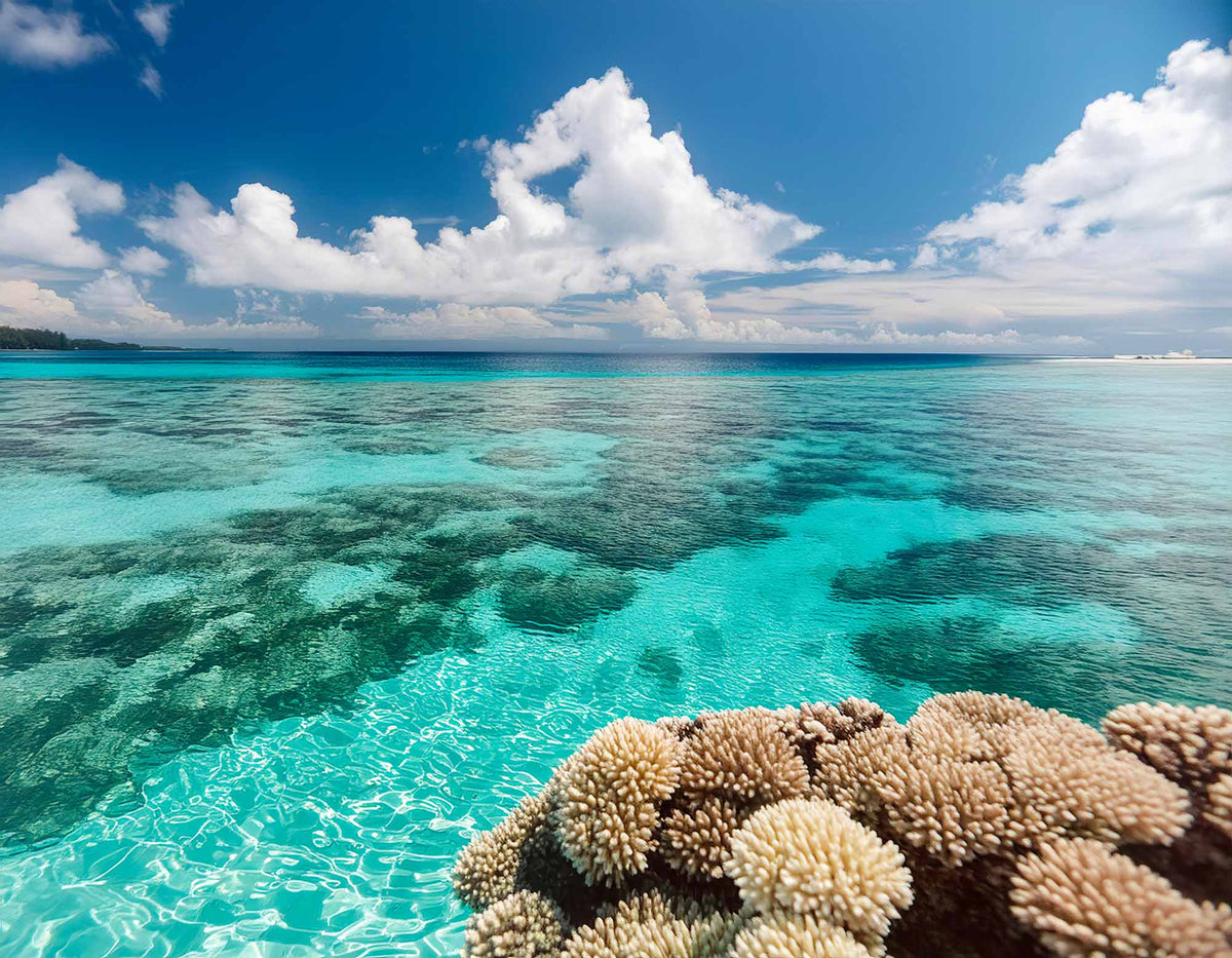 Papier peint lagon de corail – Papier peint panoramique mer turquoise et ciel