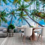 Upward View of Palm Trees Against Blue Sky Wall Mural Wallpaper