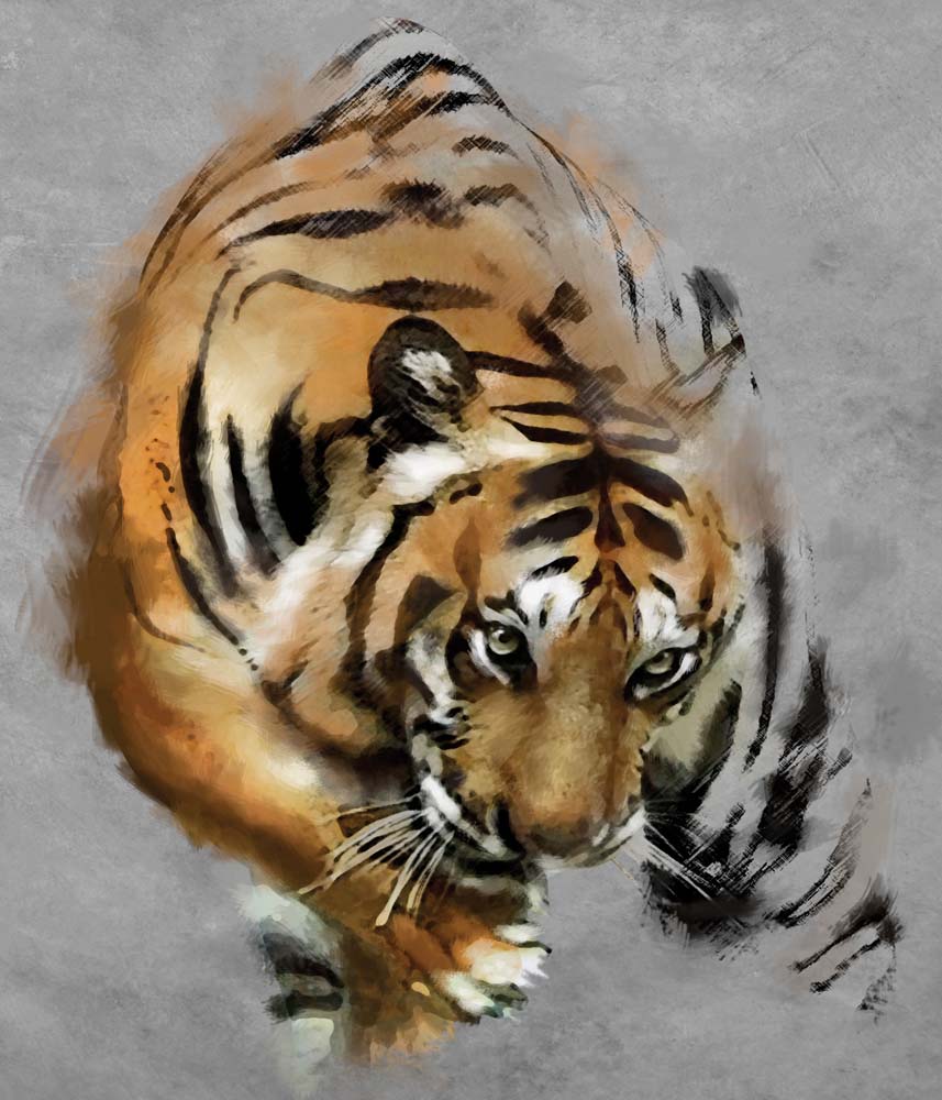 Hunting Tiger Wallpaper Animals Wall Mural