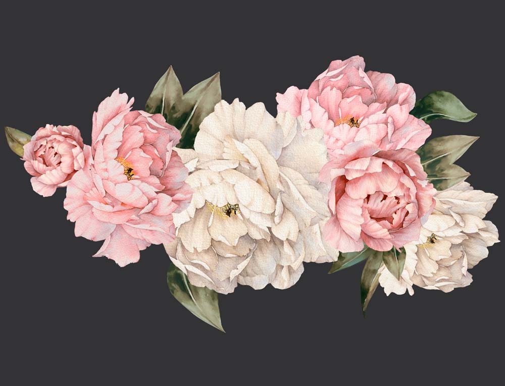 Pioenrozen op zwart – roze en witte bloemenfotobehang