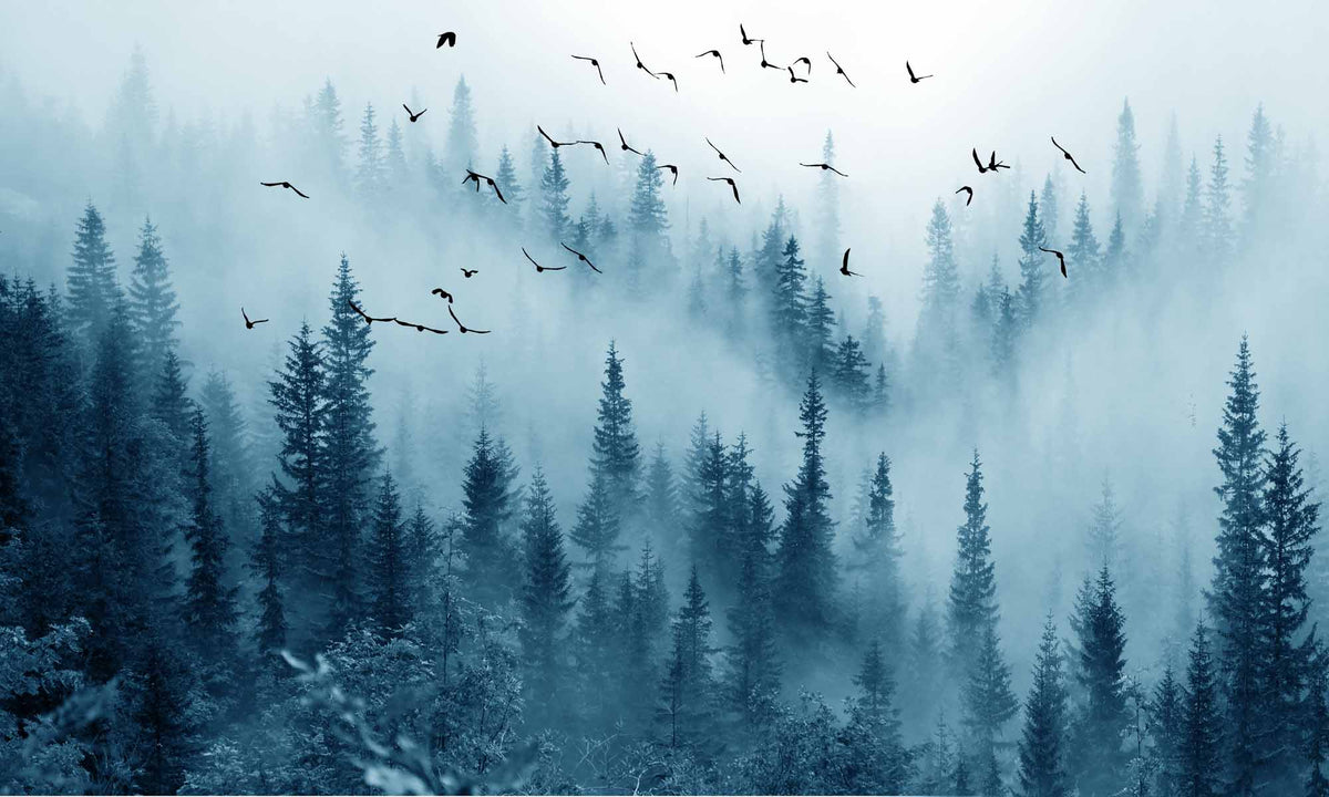 Blauw mistig bosfotobehang – nevelige dennen en vliegende vogels