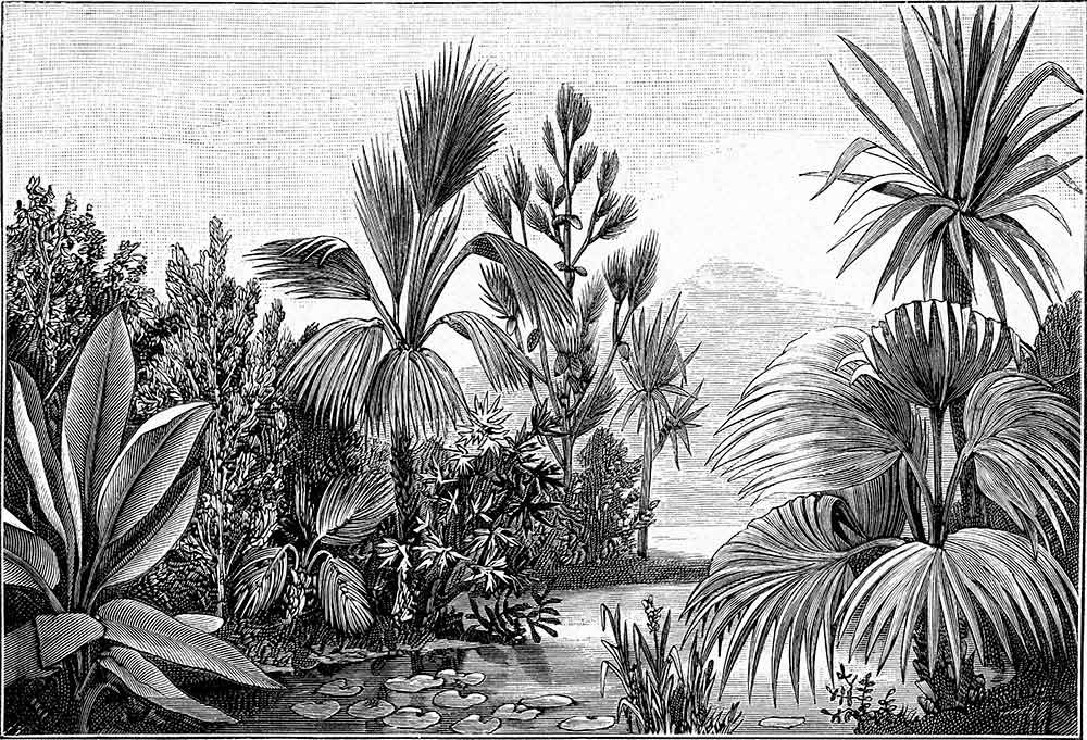 Tropical Forest Fresco Botanical Wallpaper Palm Tree Dark Wall Mural Decor