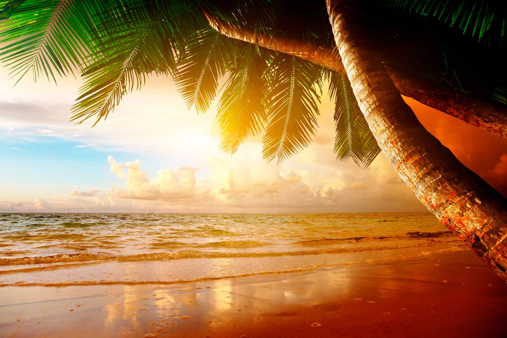 Breathtaking Sunset Beach Wall Mural Wallpaper