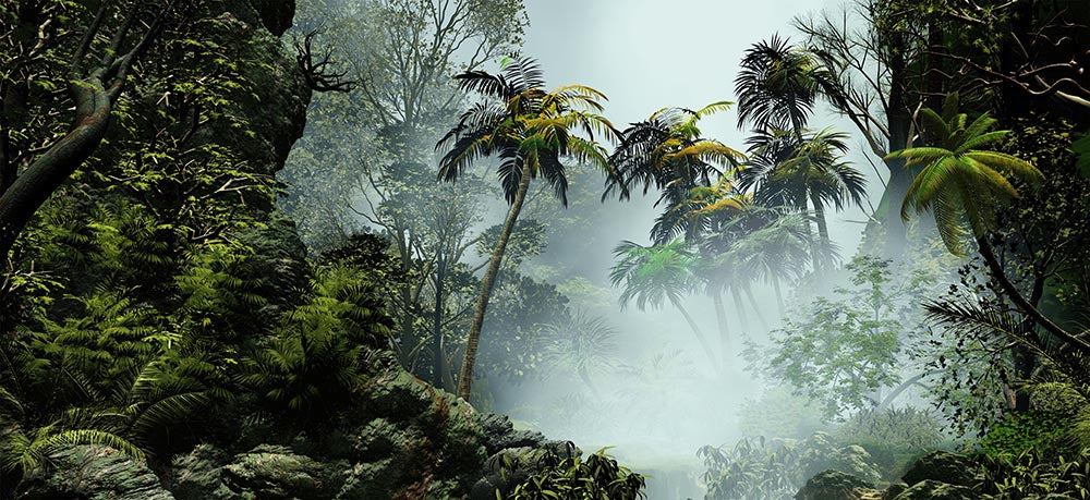 Tropical Misty Jungle Landscape Wall Mural Wallpaper