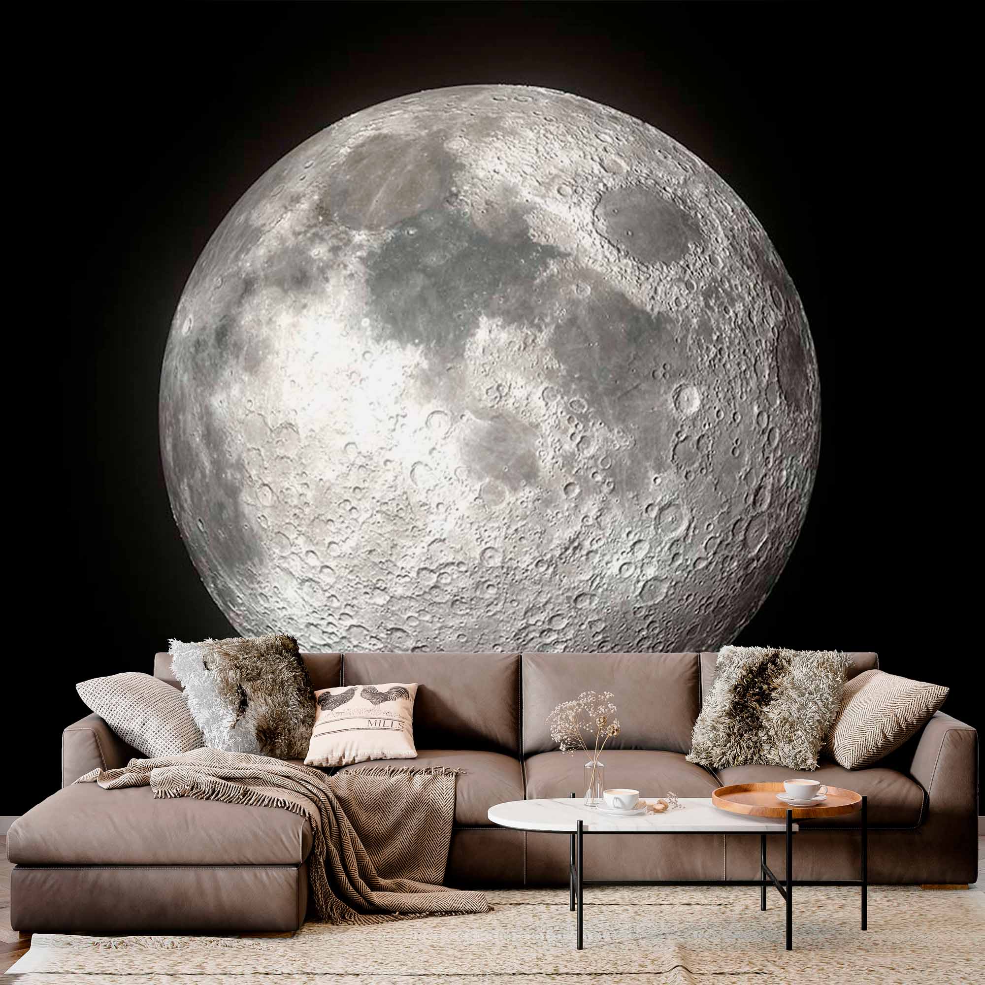 Realistic Full Moon Wall Mural Wallpaper - High Definition Lunar Surface