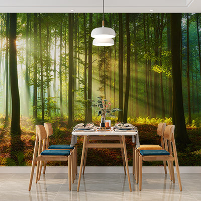 Sunlit Forest Wall Mural Wallpaper - Lush Woodland with Radiant Light Beams