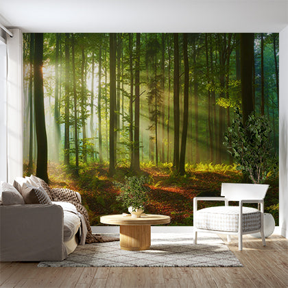 Sunlit Forest Wall Mural Wallpaper - Lush Woodland with Radiant Light Beams