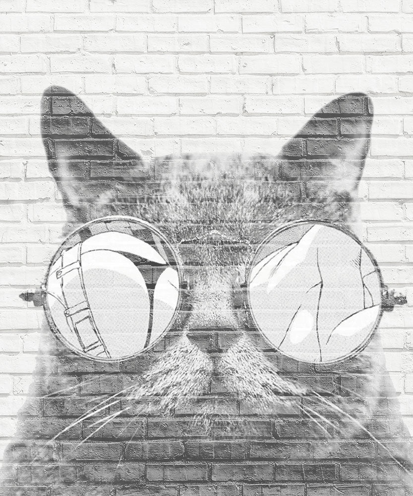 Papier peint chat à lunettes – Papier peint panoramique chat noir et blanc sur mur de briques