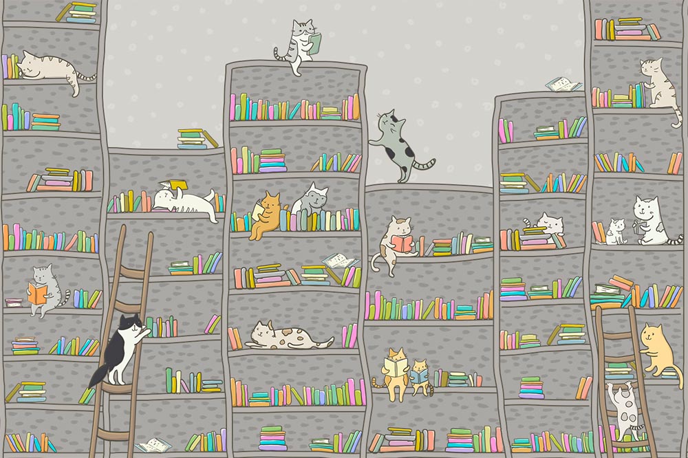 Katten tussen de boeken – Scandinavisch fotobehang voor de kinderkamer