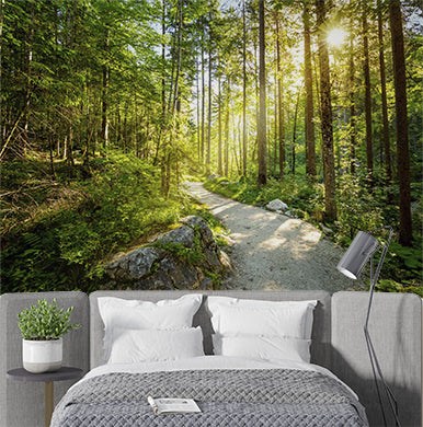 Sunlit Forest Path Wall Mural Wallpaper - Serene Woodland Trail with Radiant Sunlight