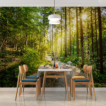 Sunlit Forest Path Wall Mural Wallpaper - Serene Woodland Trail with Radiant Sunlight