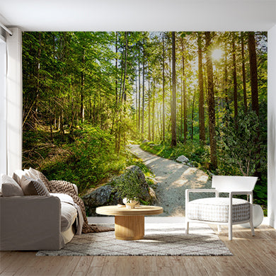 Custom Sunlit Forest Path Wall Mural Wallpaper - Serene Woodland Trail with Radiant Sunlight