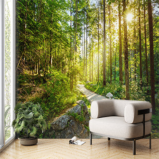 Sunlit Forest Path Wall Mural Wallpaper - Serene Woodland Trail with Radiant Sunlight