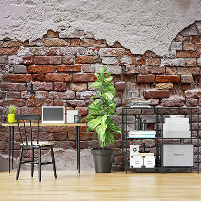 Rustic Exposed Brick Wall with Weathered Plaster Wall Murals