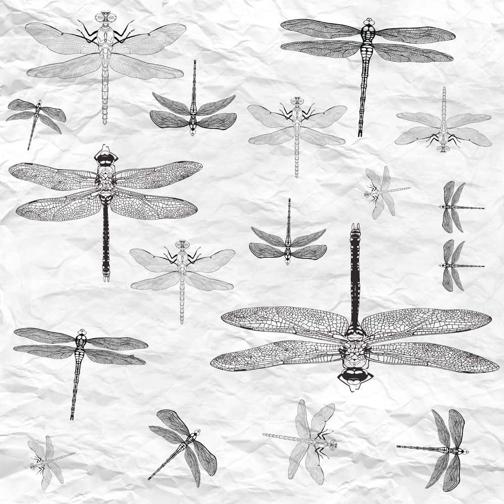 Papier peint libellules – Papier peint panoramique insectes en croquis vintage sur texture papier