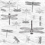 Dragonfly Wall Mural Paper Texture Minimal Design Wallpaper