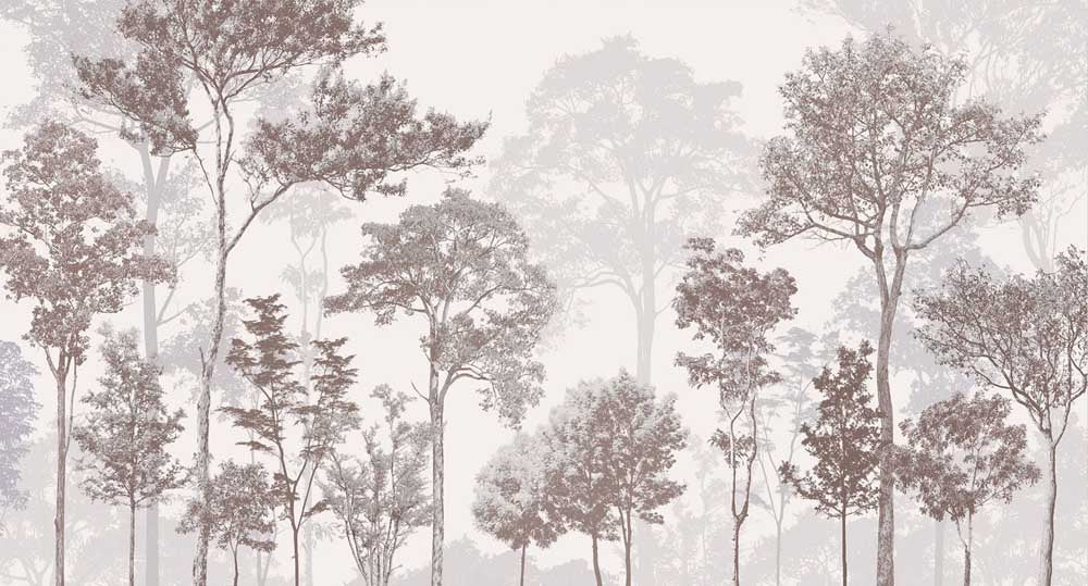 Bosbomen behang – rustig natuur fotobehang