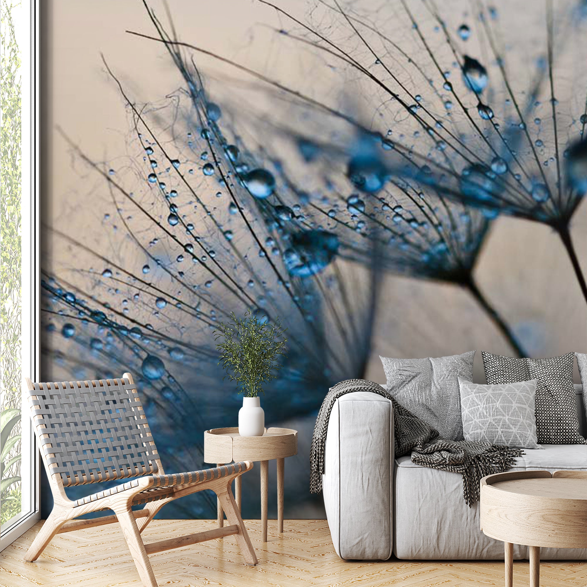 Close-Up Dandelion with Water Droplets Wall Mural Blue Floral Wallpaper