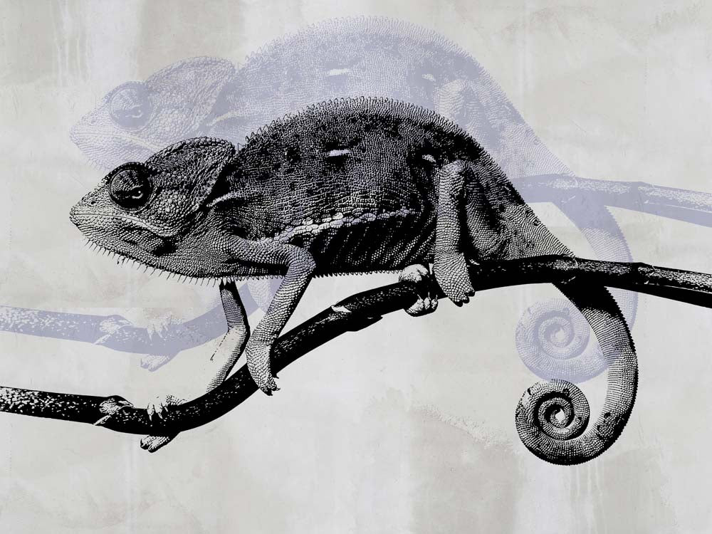 Kameleonbehang – zwart-witte kameleon op een tak