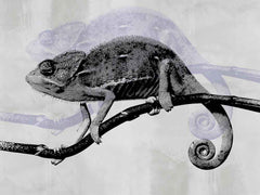 Custom Chameleon Wall Mural - Intricate Black and White Wildlife Design