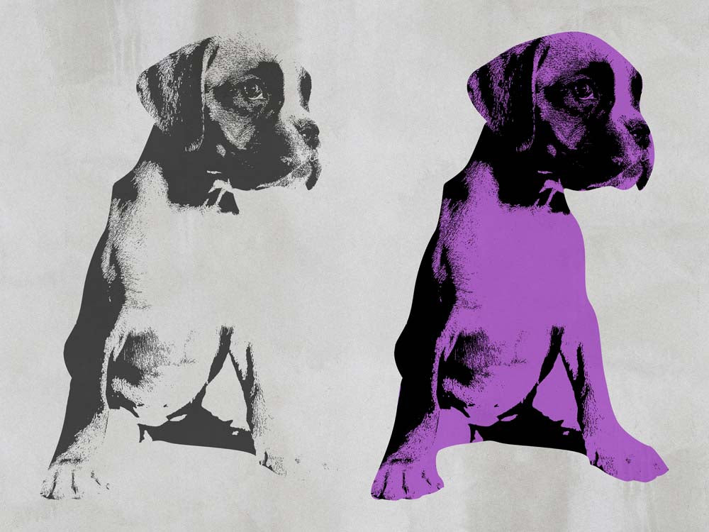 Black and White Violet Boxer Puppy Wall Mural Modern Art Animals Wallpaper