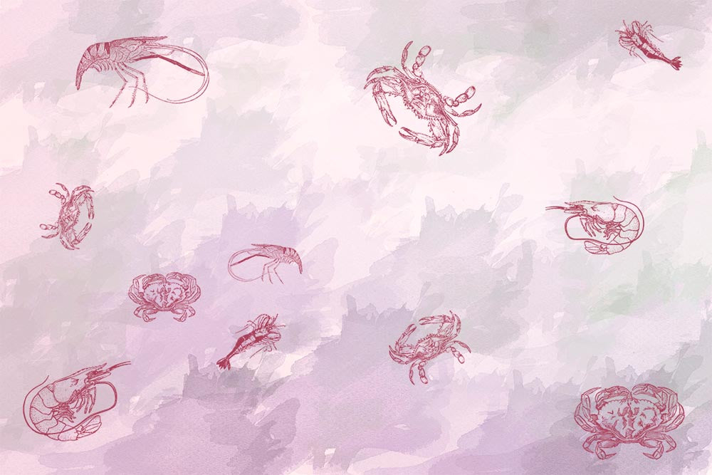 Papier peint crabes et crevettes – Papier peint panoramique rose sous la mer